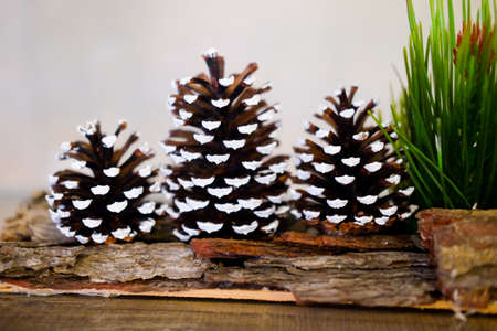 Christmas decoration with pine cones