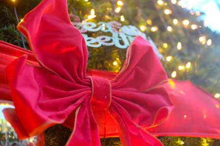 Close up red bow decoration in Christmas treeの写真素材
