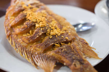Deep fried ruby fish with garlic on white dish