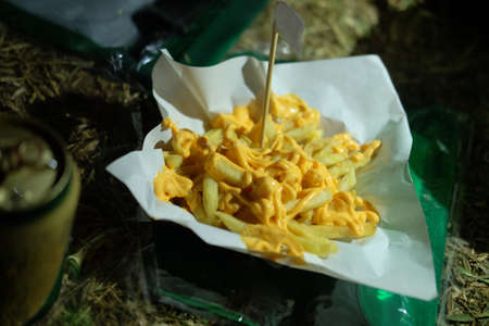 Delicious french fries with cheese sauce in garden concert