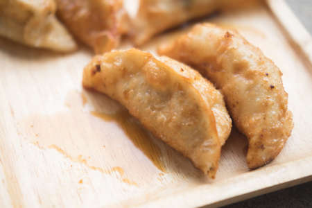 Gyoza salad snack, Japanese food deliciousの写真素材