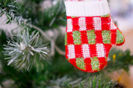 Red christmas gloves hanging tree branch.の写真素材