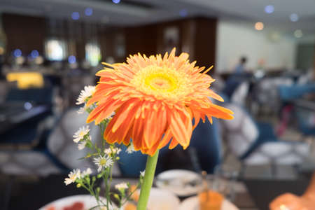 Close-up of a beautiful orange gerbera in the dining roomの写真素材