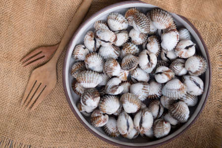Fresh cockle from the sea in Thailand marketの写真素材