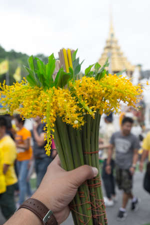 The Globba Schombugkii flowers with candle and joss stick offering that Thai buddhism prepare for offer to monk in the festival of floral offering at Wat Phra Phuttabat,Saraburi Thailandの写真素材