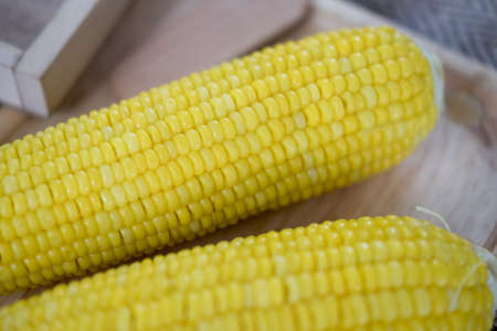 Boiled yellow ripe whole corn (close up)の写真素材