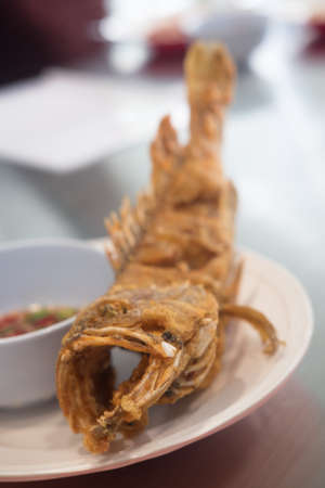 Thai food deep fried small snapper, Close upの写真素材