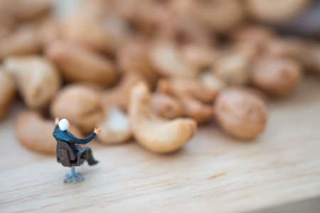 Miniature people businessman selecting best quality cashew for export. Import Export conceptの写真素材
