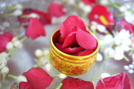 Jasmine and rose leaf in gold water bowls for Songkran Festival or Thai New Year.の写真素材