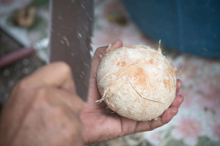 Man cutting coconut at a local market in Thailand for his customer