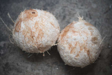 A fresh coconut preparing it for homemade coconut drink.