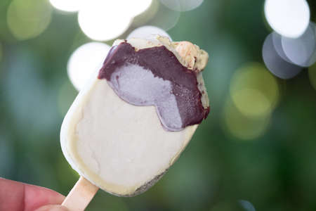 Summer ice cream chocolate covered matcha green tea favor bar or pop stick on hand. Holding bitten
