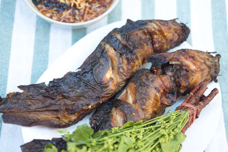 Grilled catfish, sweet fish sauce and boiled neem, Thai style foodの写真素材