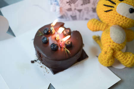 Nice happy birthday cake with candles and doll
