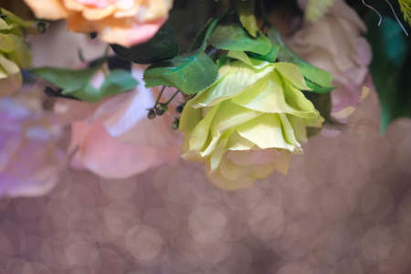 Artificial rose with blurred background for you design background