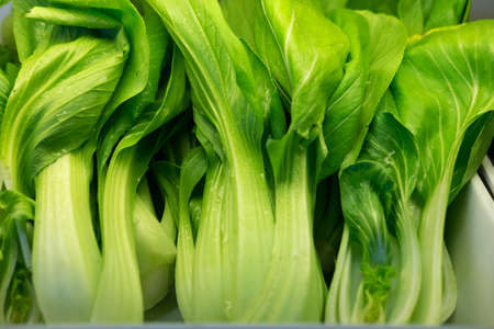 Choy Sum or Bok choy or chinese cabbage vegetable, close up