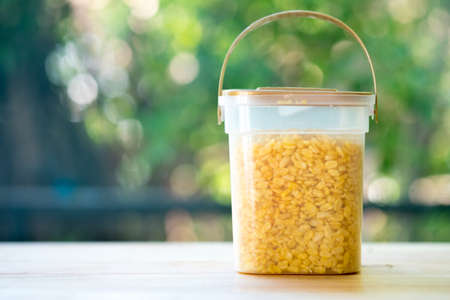 Fried mung bean (Thai Appetizer) Thai called -Tua-Thong in boxの写真素材