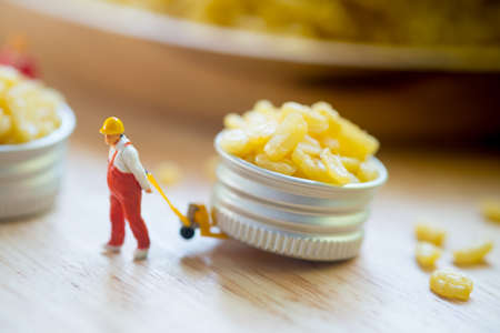 Miniature people workers moving fried mung bean (Thai appetizer) for export. selecting best of...