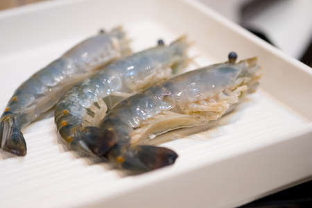 Raw giant river prawn in white tray for cookingの写真素材