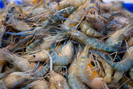 Raw prawns as a background in the market for sale at Thailand, Raw big tiger shrimpの写真素材