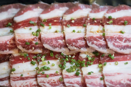 Raw pork belly as a background with scallion sliced topped in restaurant. Fresh meat for grill or cookingの写真素材