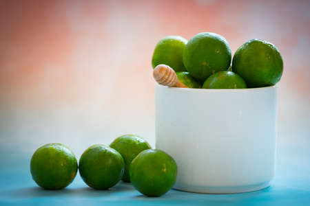 Group of fresh green lime citrus plucked from branch of lemon tree.の写真素材