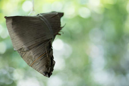 Zongzi Hanging. Zongzi is the Famous Traditional Chinese Rice Dumplings for Dragon Boat Festival...