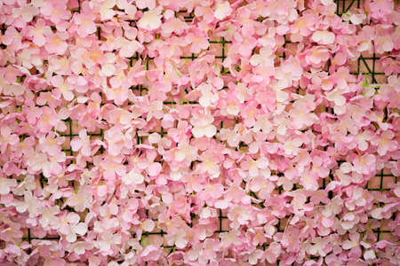 Pink flower texture background, backdrop for take a photo