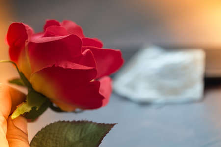 Roses flower with condom background. Protect health prevent. World AIDS Day.の写真素材