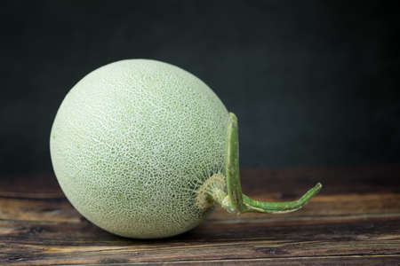 Green melon in hydroponics greenhouse farm at Thailandの写真素材