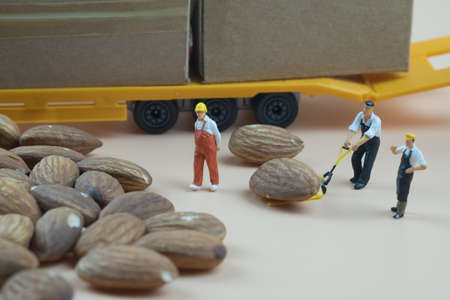 Miniature people workers moving almond nuts for import and export. Concept of selecting, agricultural products best qualityの写真素材