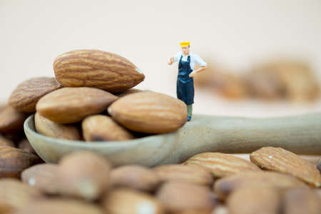 Almond business expert or professional concept, miniature people chef selecting almond seed for selecting best quality.の写真素材