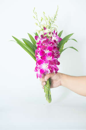 Bouquet of orchid flower and pandan leaves for pray respect to Buddha in handの写真素材