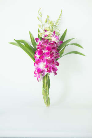 Closeup violet orchid with pandan for buddhist religious ceremony Thai traditional. Religion conceptの写真素材