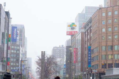 Sapporo, Japan - November 16, 2019 : Landscape view and buildings in the city of Sapporo, Japan are full of white snow. First snow of the yearの写真素材