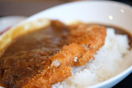 Rice with pork cutlet (Tonkatsu) and curry on riceの写真素材