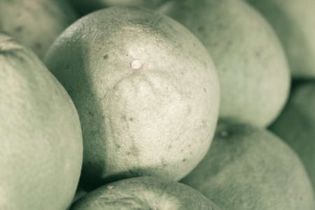 Pile of fresh tropical Asian ripe green yellow pomelos fruit from gardenの写真素材