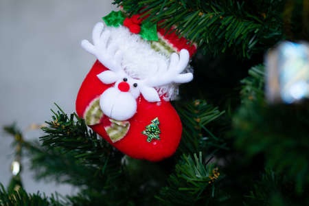 Christmas ornamental sock decorating on christmas tree using for Christmas background