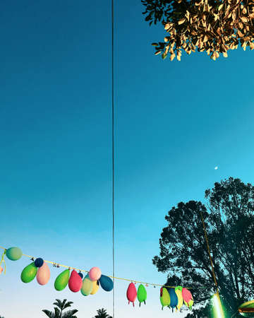 Colorful balloons hanging arrangement on branches decoration in outdoor partyの写真素材