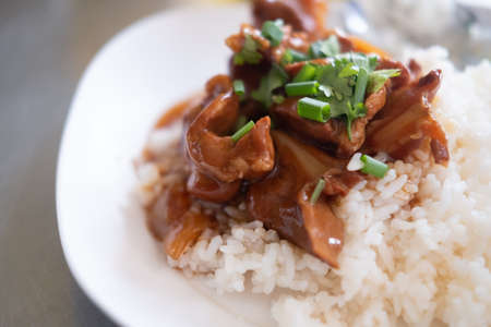 Stewed pork on rice. A delicious food of Thailand