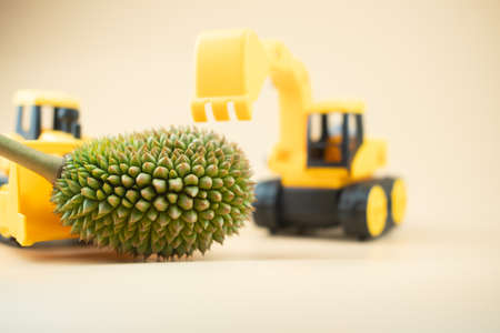 Toy truck and toy bulldozer moving Durian. Concept of Thailand agricultureの写真素材