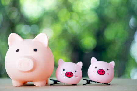 Big pig and two little pig on a wooden table with blur nature backgroundの写真素材