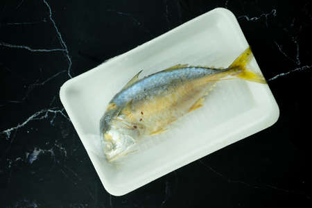 Thai mackerel fish steamed in foam box on black background. Pla-too is name Thai language