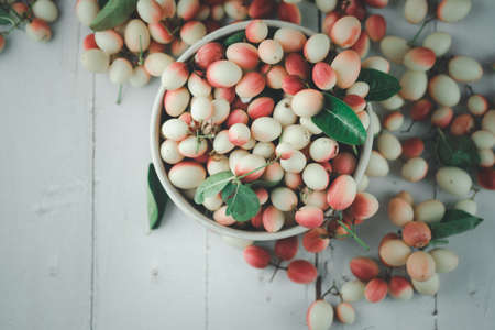 Carandas-plum or Karonda fruit (Carissa carandas L.) sour taste fruit in bowl. Top view.の写真素材