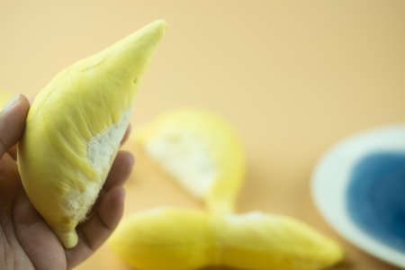 Hand holding durian king of fruits on yellow backgroundの写真素材