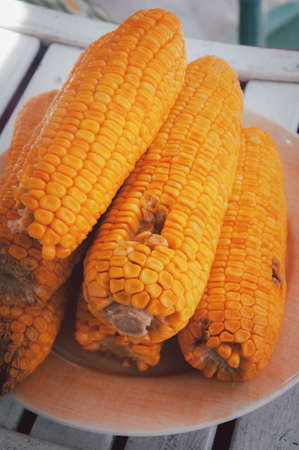 Grilled corn cobs on white dish. Top view