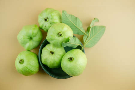 Thai Guava fruit has green skin and white flesh which are plenty during the rainy season.の写真素材