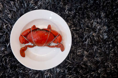 Close up of steamed serrated mud crab or mangrove crab on white plateの写真素材