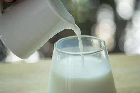 Pouring fresh milk in the glass on the wooden table with bokeh background of natureの写真素材