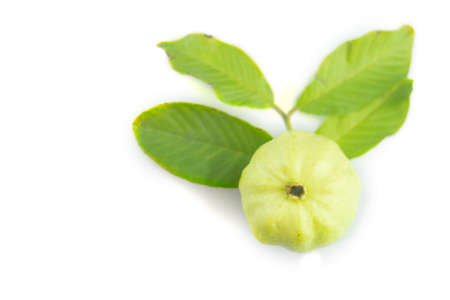 Close up of fresh guavas fruit with leaf on a white backgroundの写真素材
